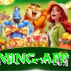 Basant Club Premium Gaming App