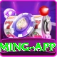 dravid Plus Gaming App