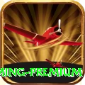 Pak67 Gaming Premium