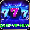 q789 VIP New