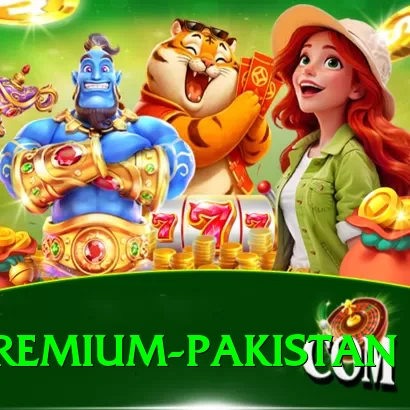 Spribewin Premium Pakistan - 2